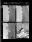 Livestock; Woman in office (4 Negatives) November 18-20, 1959 [Sleeve 9, Folder c, Box 19]